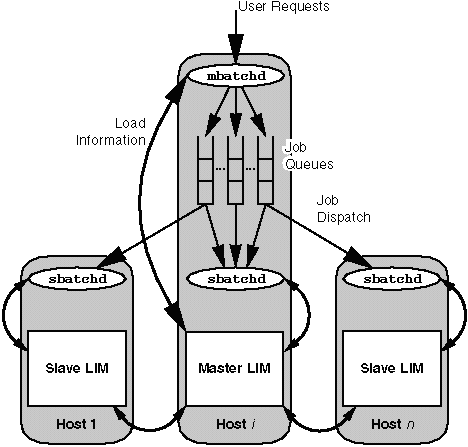 LSF Architecture